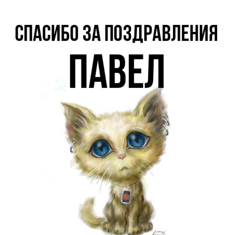 Картинка Спасибо за поздравления, Павел