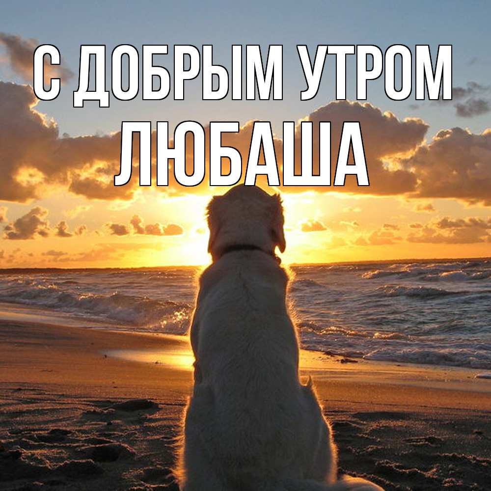 Открытка  с именем. ЛЮБАША, С добрым утром  