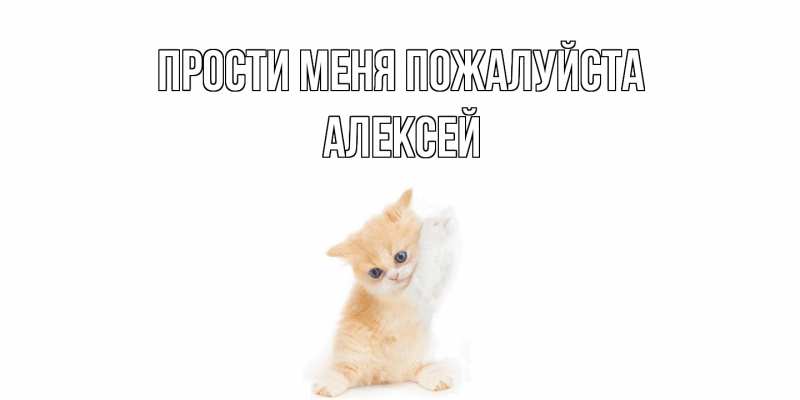Картинка Прости меня пожалуйста, Алексей