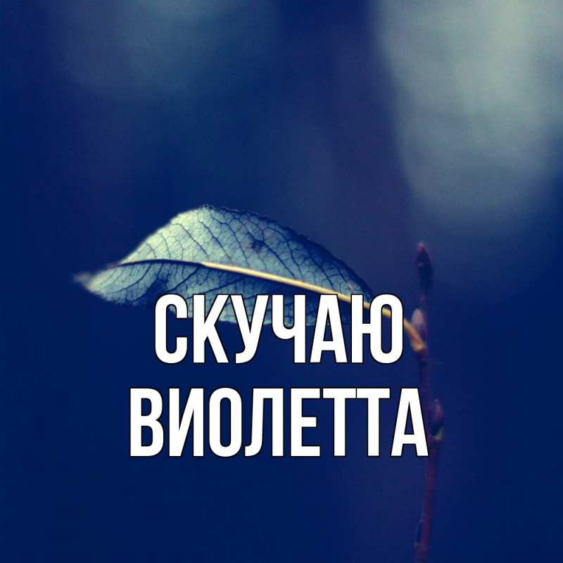 Картинка Скучаю, Виолетта