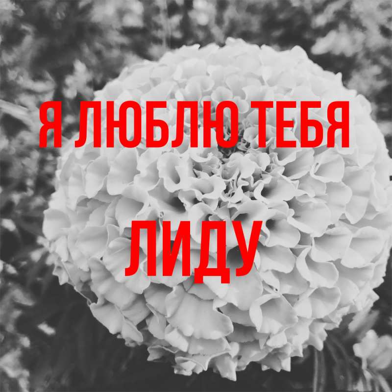 Картинка Я люблю тебя, Лиду