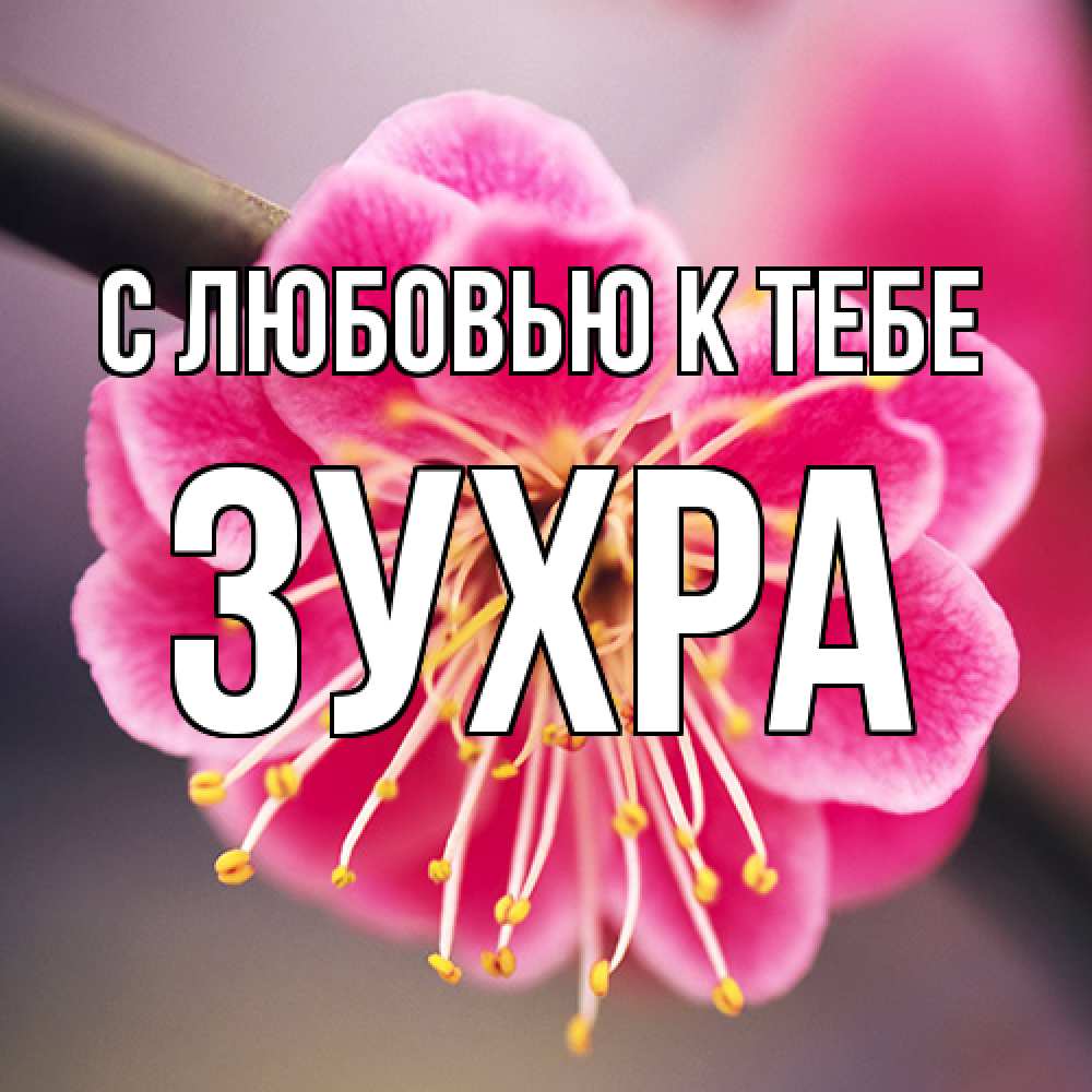 Открытка  с именем. Зухра, С любовью к тебе  
