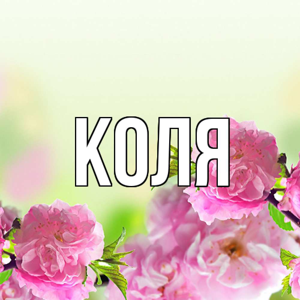 Открытка  с именем. коля, Главная  