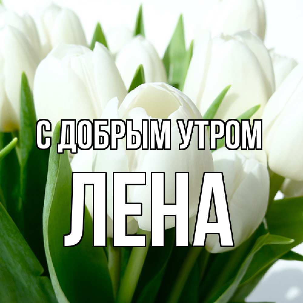 Открытка  с именем. Лена, С добрым утром  