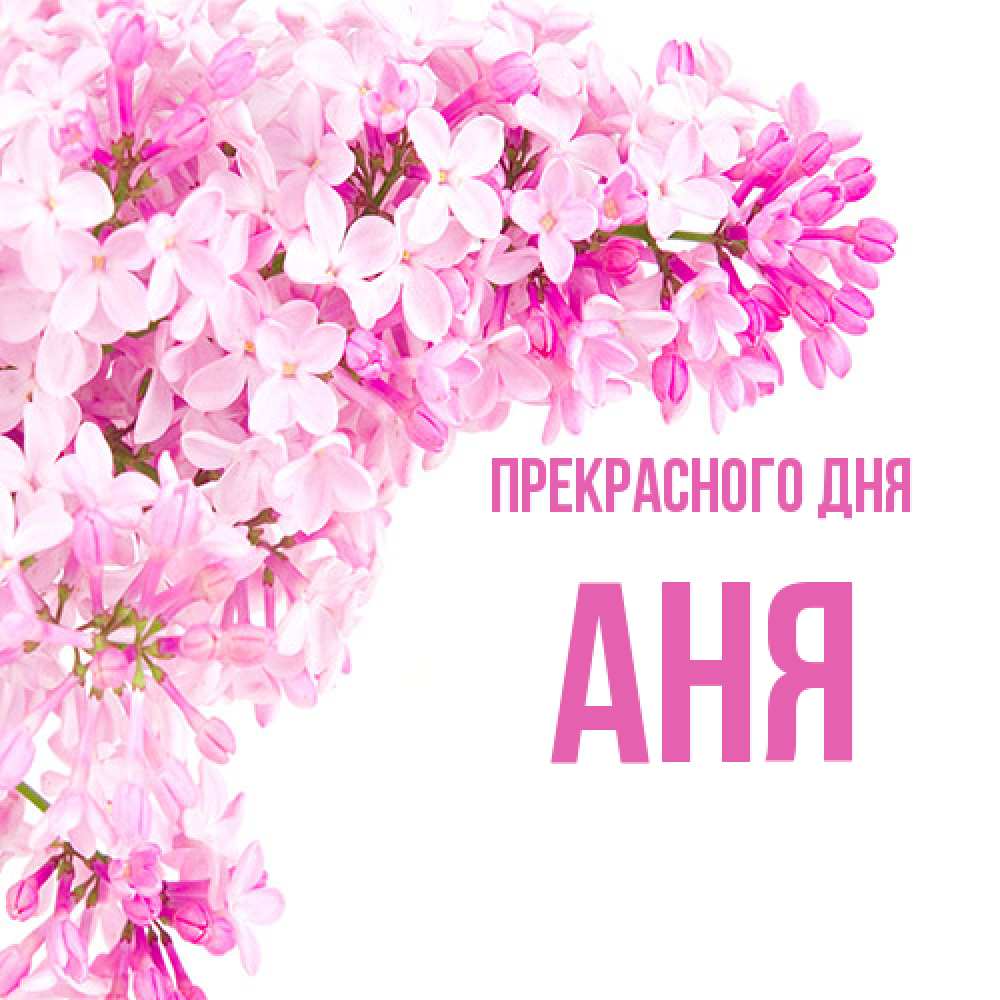 Открытка  с именем. аня, Прекрасного дня  