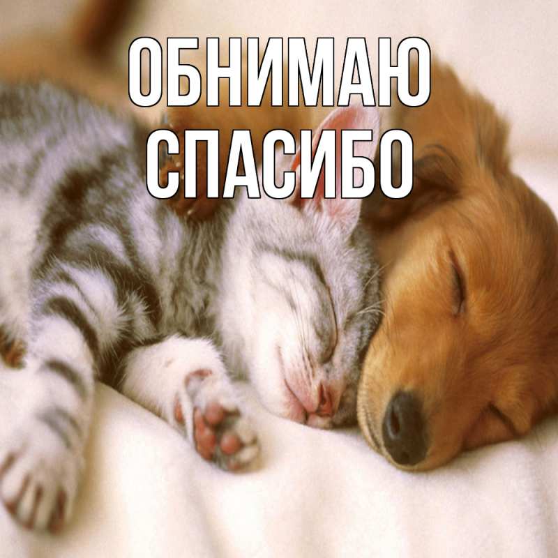 Картинка Обнимаю, СПАСИБО