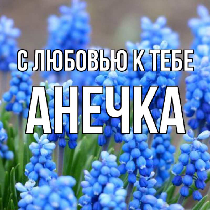 Картинка С любовью к тебе, анечка