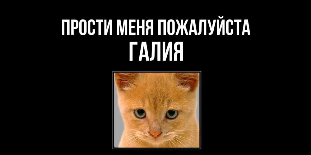 Открытка  с именем. Галия, Прости меня пожалуйста  