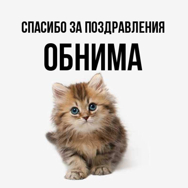 Картинка Спасибо за поздравления, Обнима