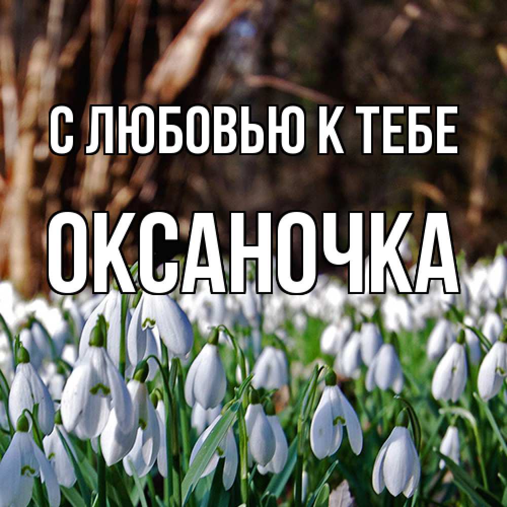 Открытка  с именем. ОКСАНОЧКА, С любовью к тебе  