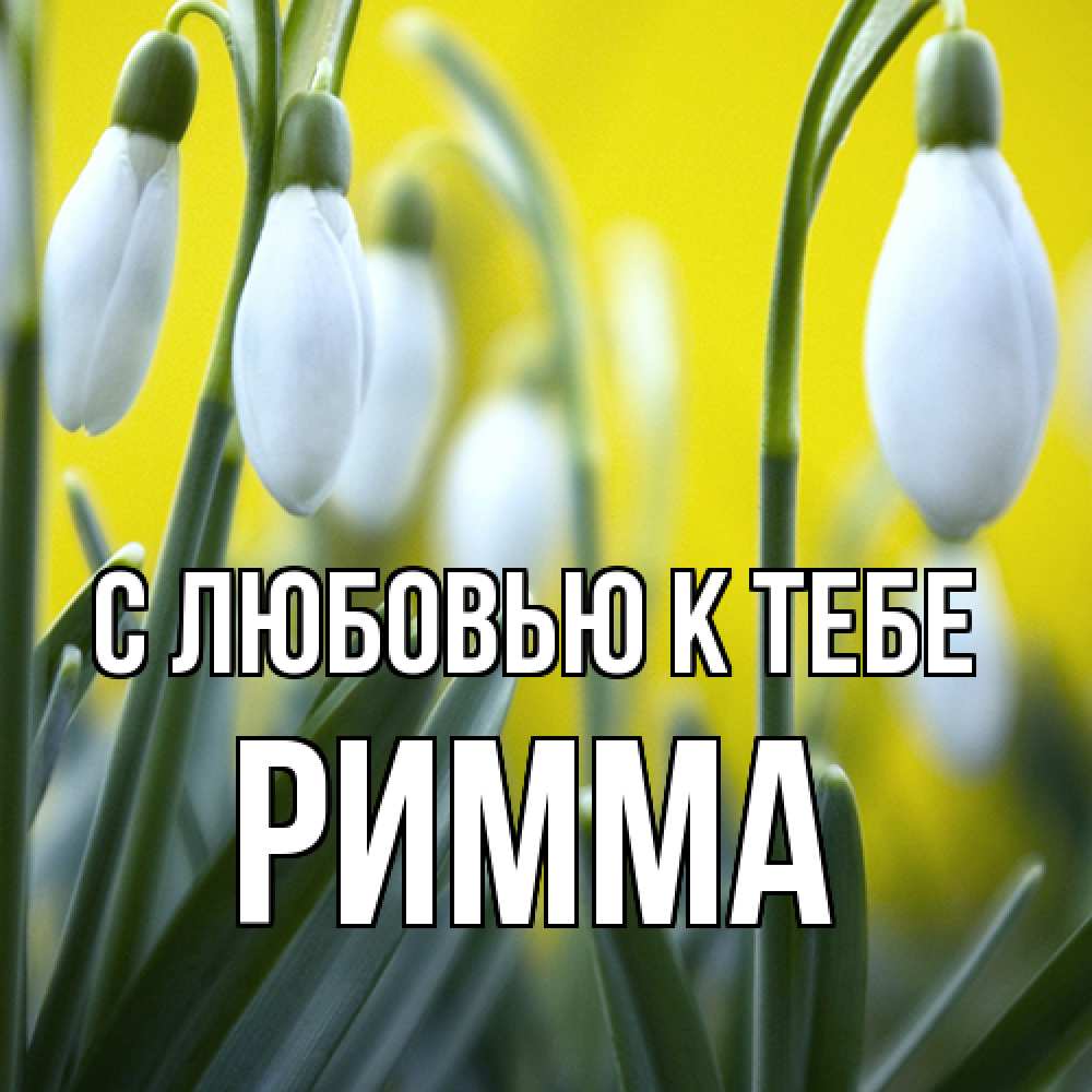 Открытка  с именем. Римма, С любовью к тебе  