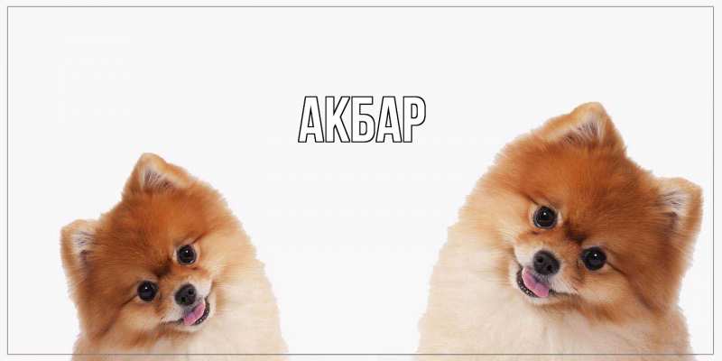 Картинка  с именем , Акбар