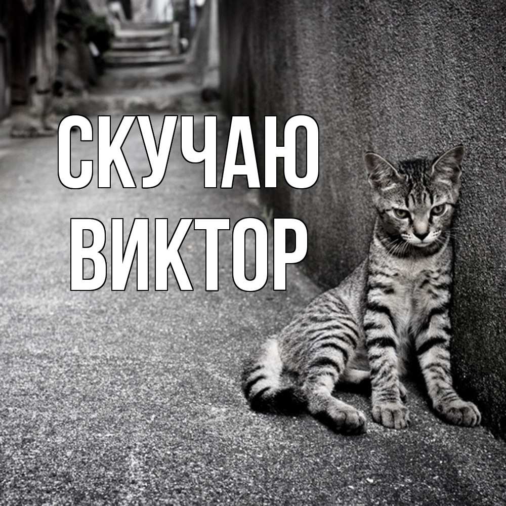 Открытка  с именем. Виктор, Скучаю  