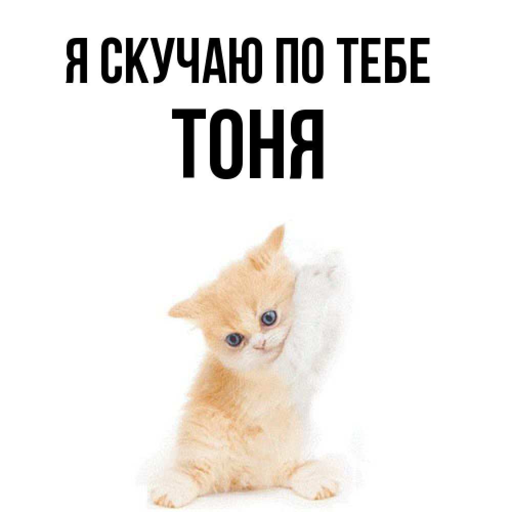 Открытка  с именем. Тоня, Я скучаю по тебе  