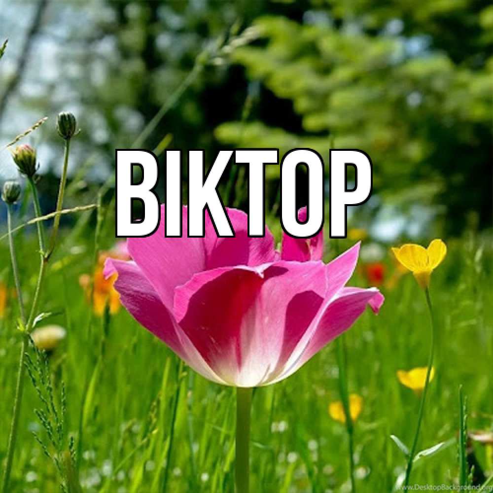 Открытка  с именем. Віктор, Главная  