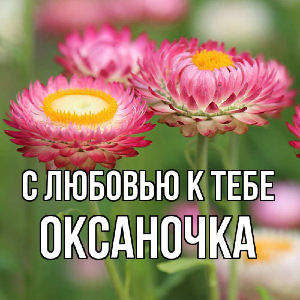 Открытка  с именем. ОКСАНОЧКА, С любовью к тебе  