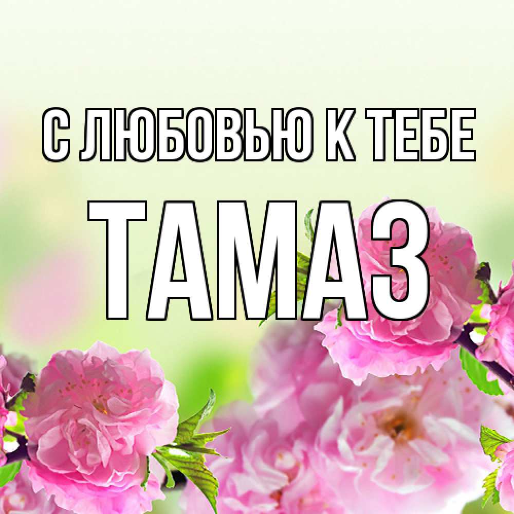 Открытка  с именем. Тамаз, С любовью к тебе  