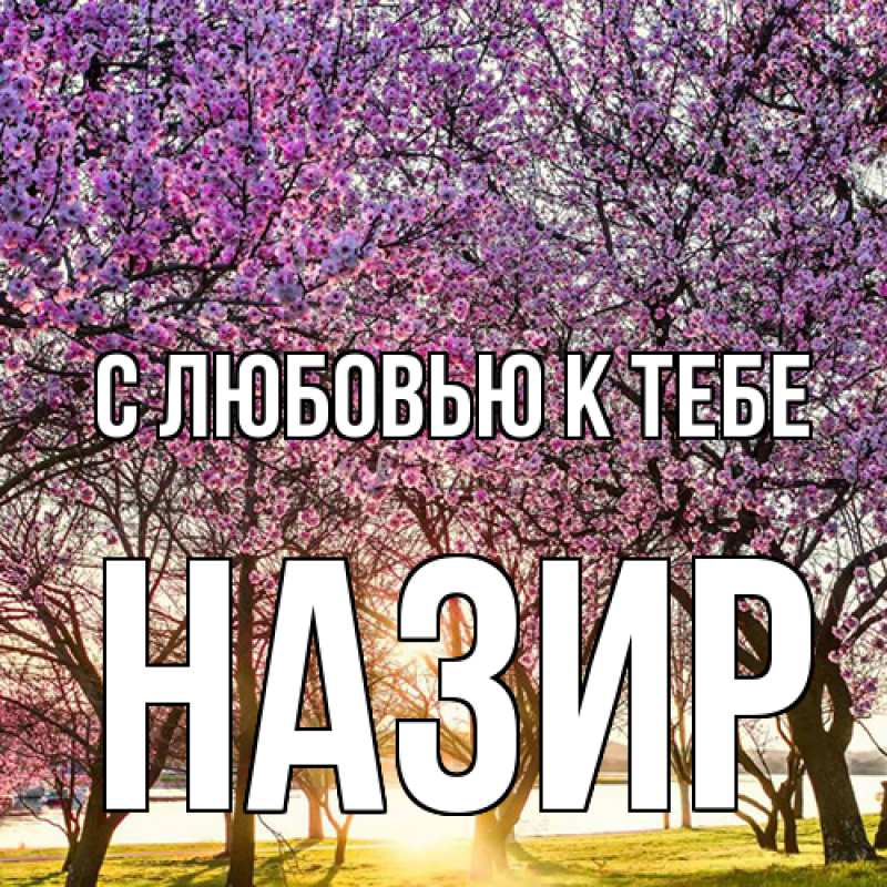 Картинка С любовью к тебе, Назир