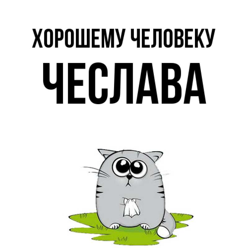Картинка Хорошему человеку, Чеслава