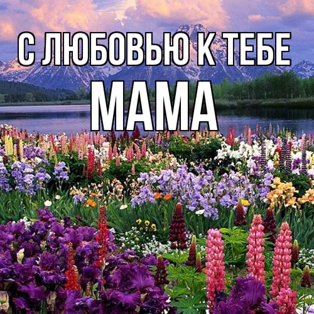 Открытка  с именем. Мама, С любовью к тебе  