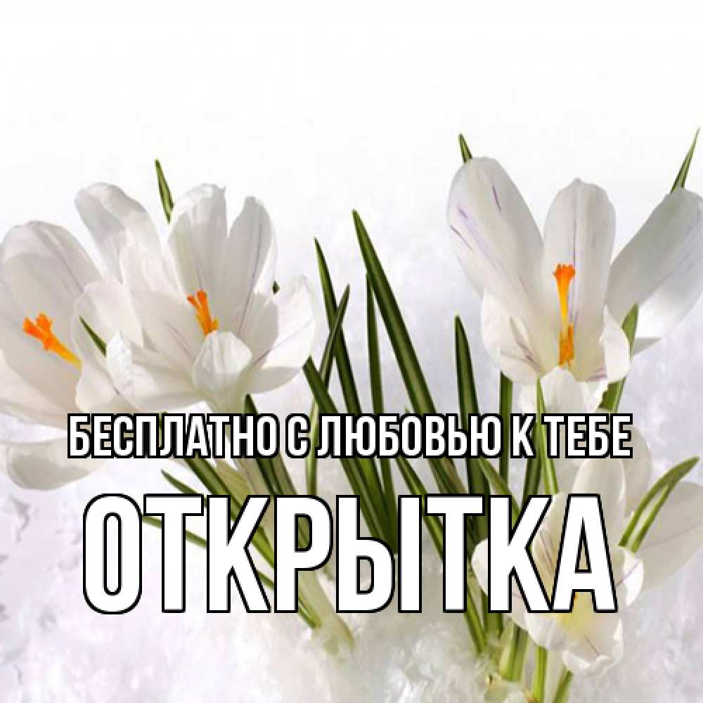 Открытка  с именем. открытка, С любовью к тебе  