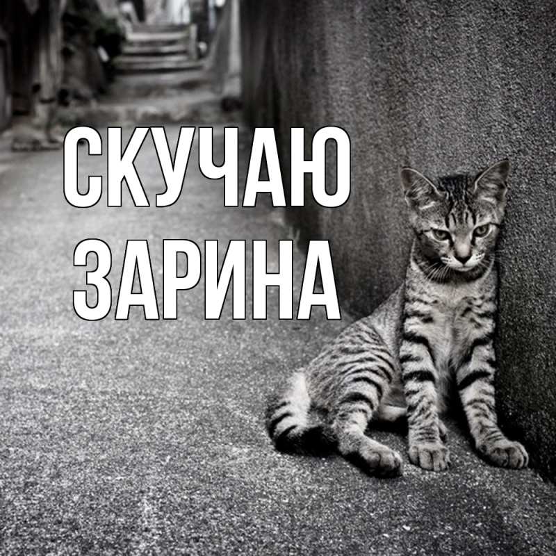 Картинка Скучаю, зарина