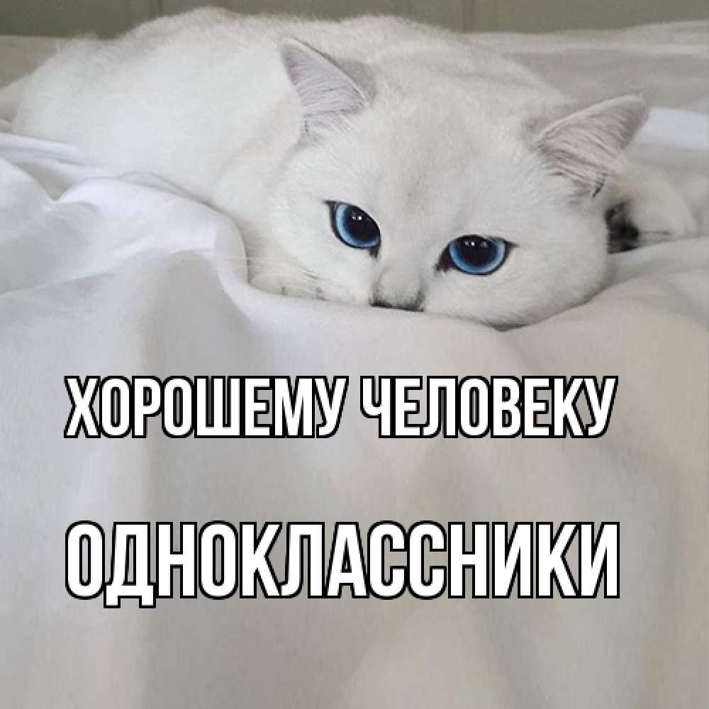 Открытка  с именем. Одноклассники, Хорошему человеку  