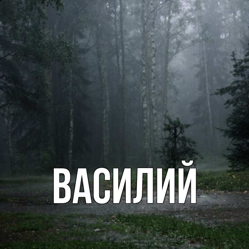 Картинка  с именем , Василий