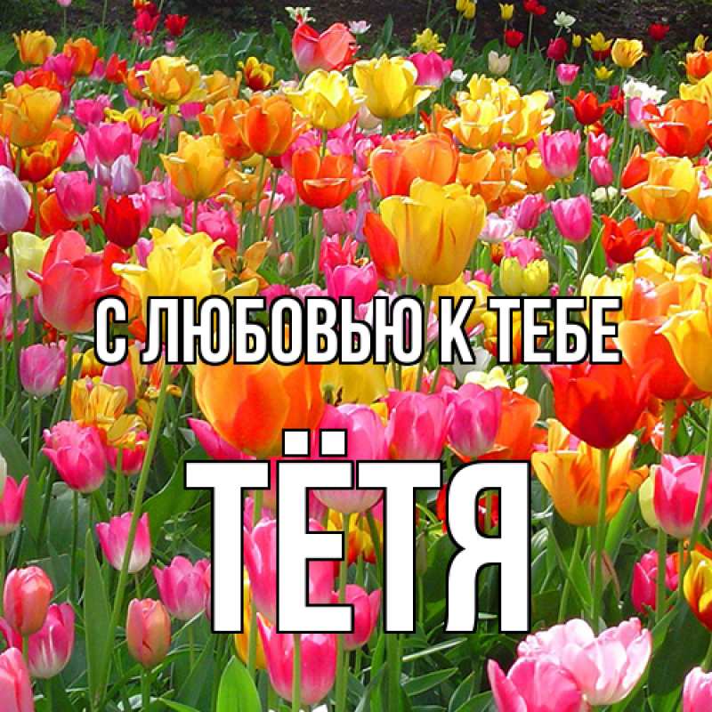 Картинка С любовью к тебе, Тётя