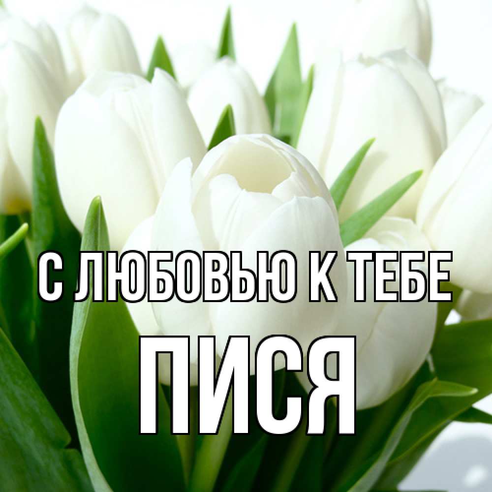Открытка  с именем. Пися, С любовью к тебе  