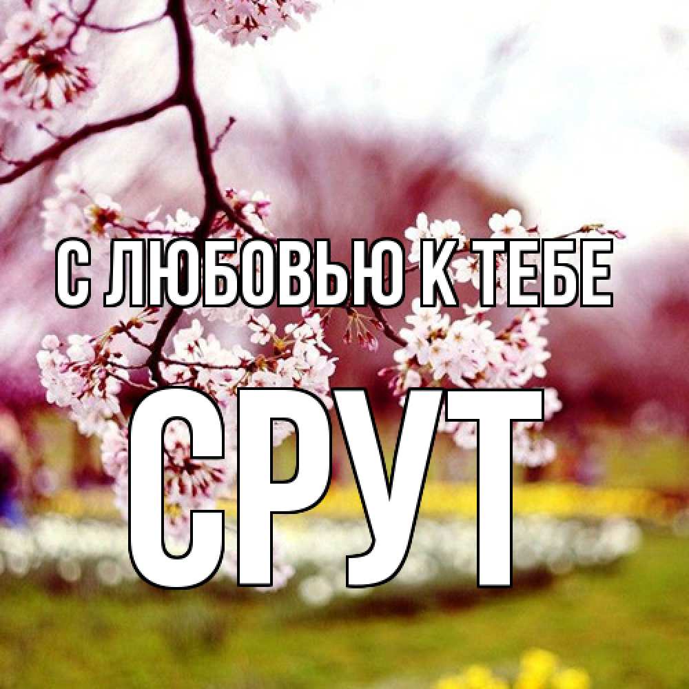 Открытка  с именем. срут, С любовью к тебе  