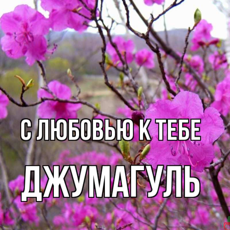 Картинка С любовью к тебе, Джумагуль
