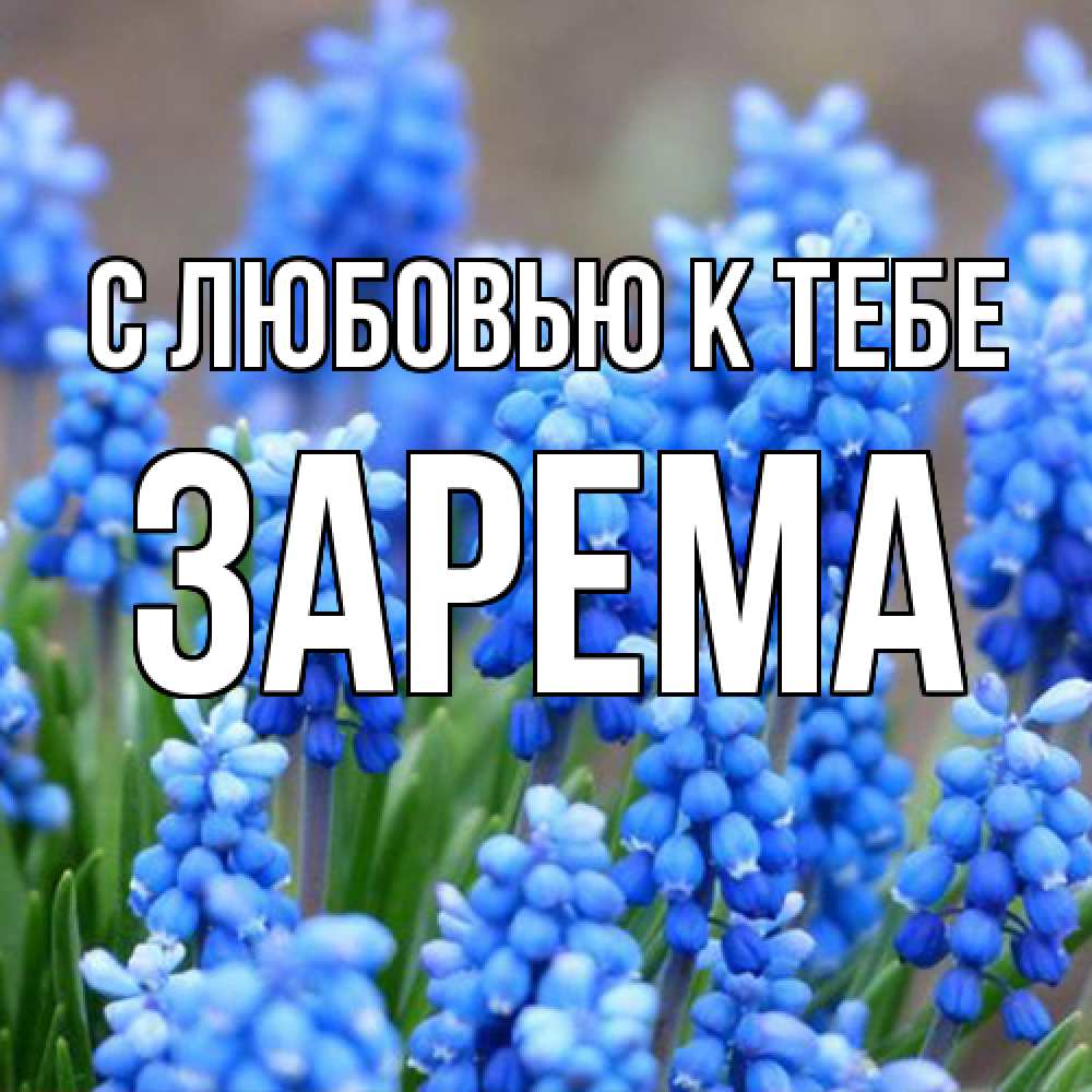 Открытка  с именем. Зарема, С любовью к тебе  