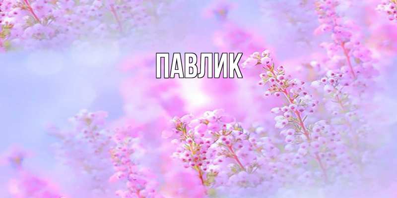 Картинка  с именем , Павлик