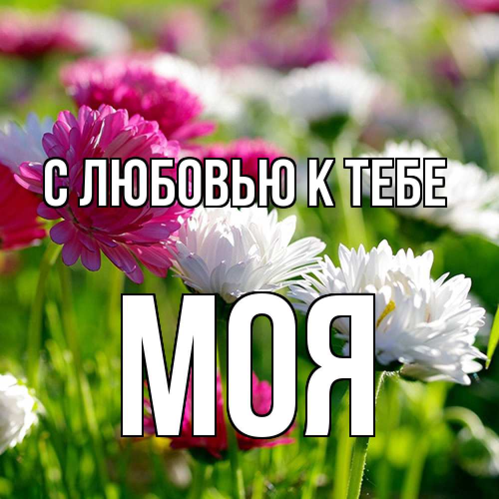 Открытка  с именем. Моя, С любовью к тебе  