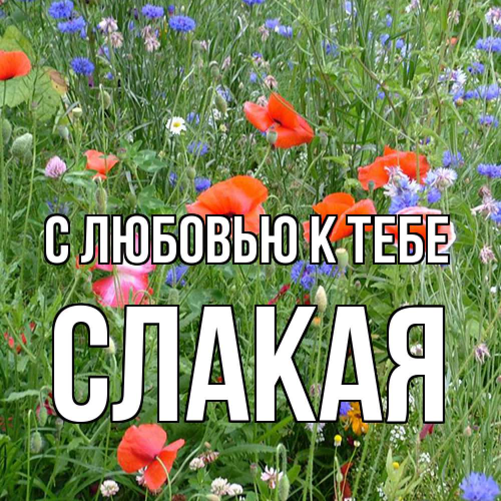 Открытка  с именем. Слакая, С любовью к тебе  