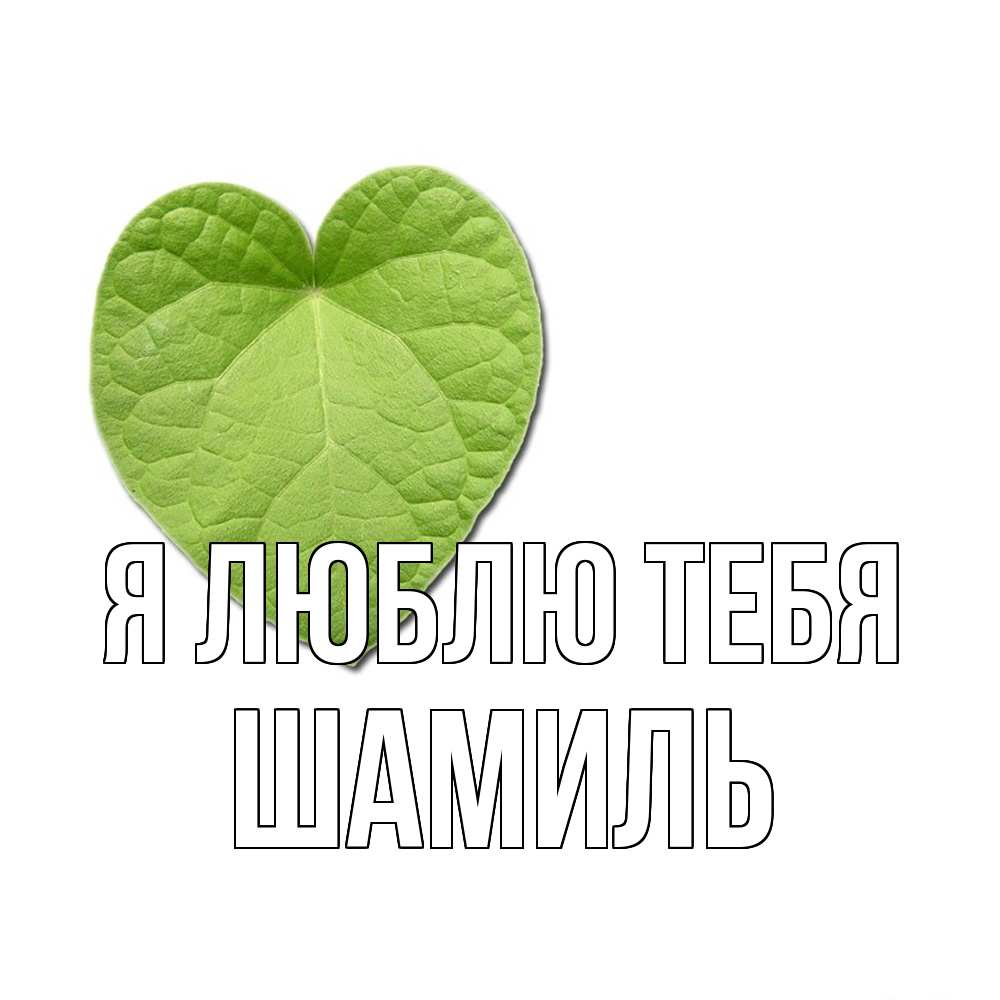Открытка  с именем. Шамиль, Я люблю тебя  