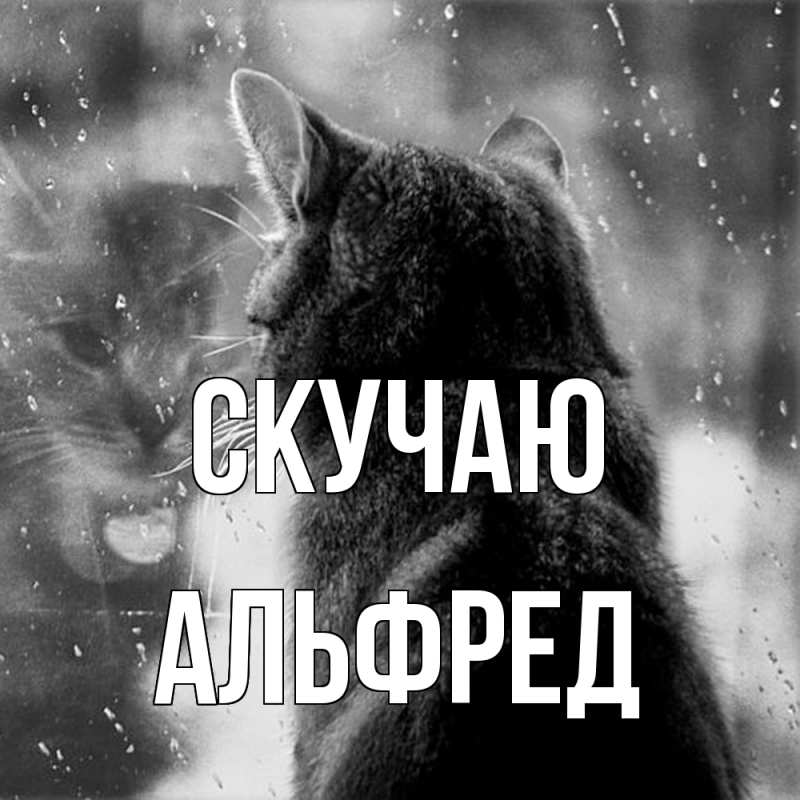 Картинка Скучаю, Альфред