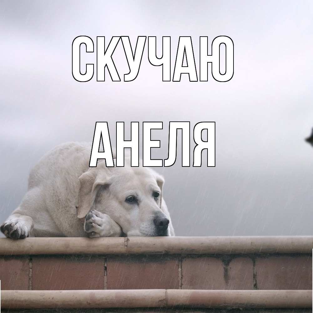Открытка  с именем. Анеля, Скучаю  