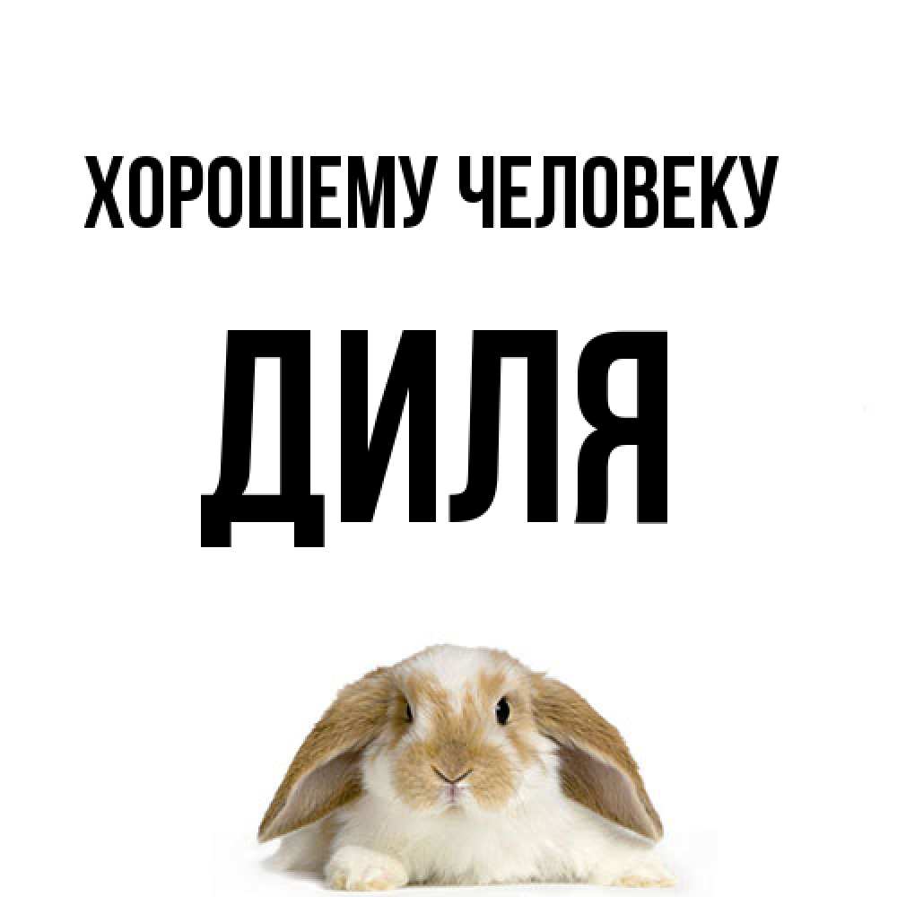 Открытка  с именем. Диля, Хорошему человеку  