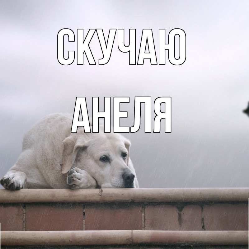 Картинка Скучаю, Анеля