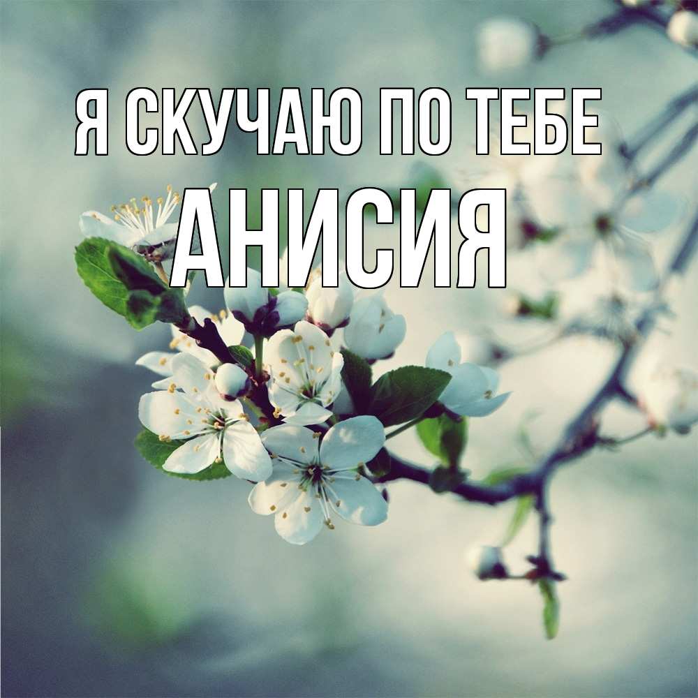Открытка  с именем. Анисия, Я скучаю по тебе  