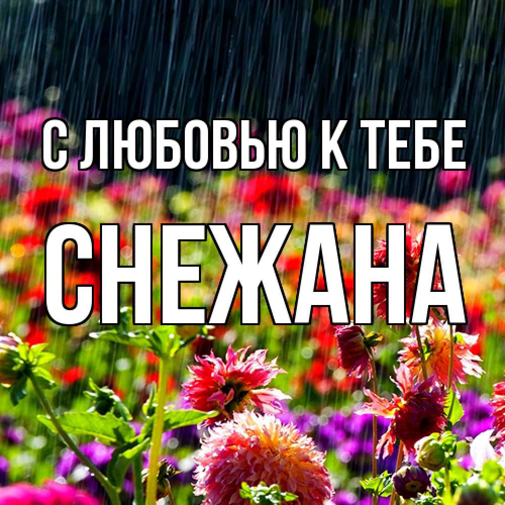 Открытка  с именем. Снежана, С любовью к тебе  
