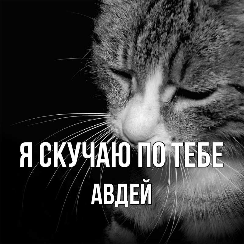 Картинка Я скучаю по тебе, Авдей