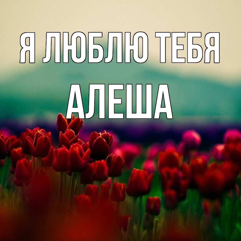 Открытка  с именем. Алеша, Я люблю тебя  