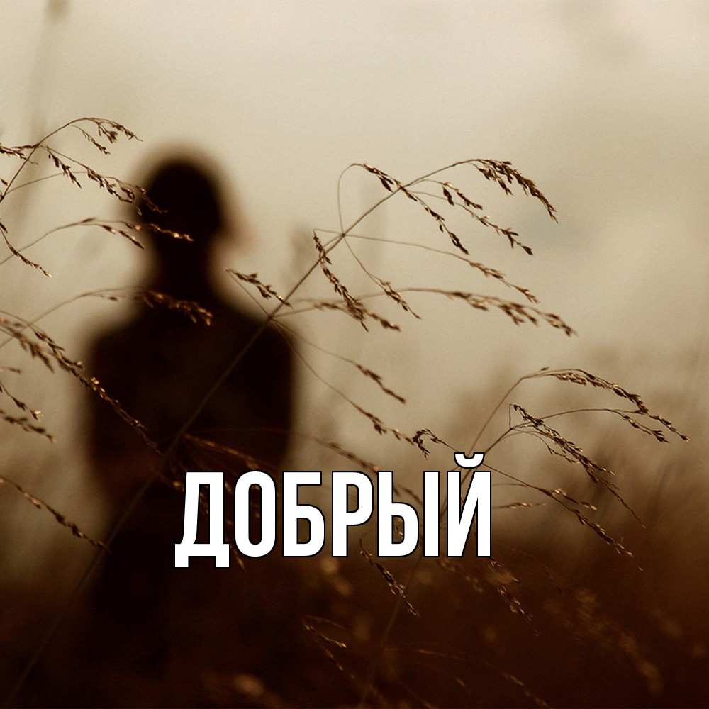 Открытка  с именем. Добрый, Главная  