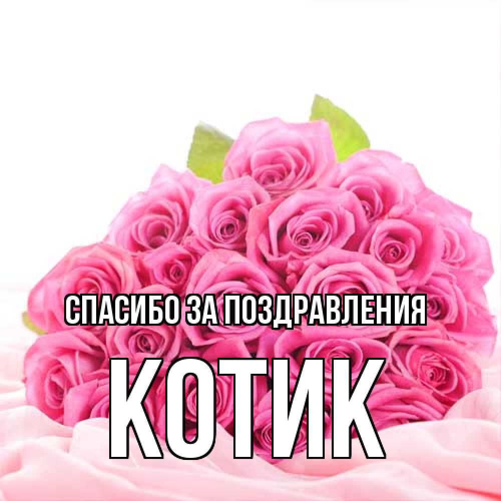 Открытка  с именем. КОТИК, Спасибо за поздравления  