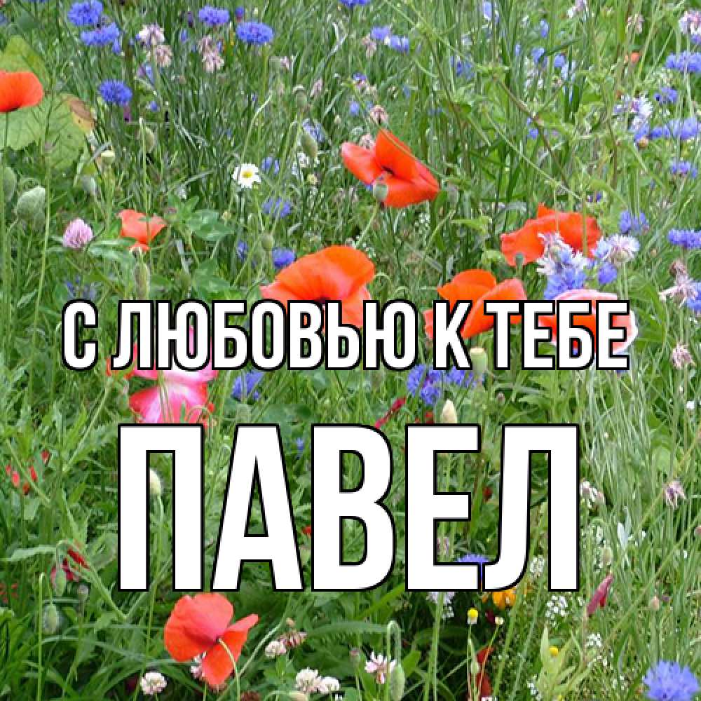 Открытка  с именем. Павел, С любовью к тебе  