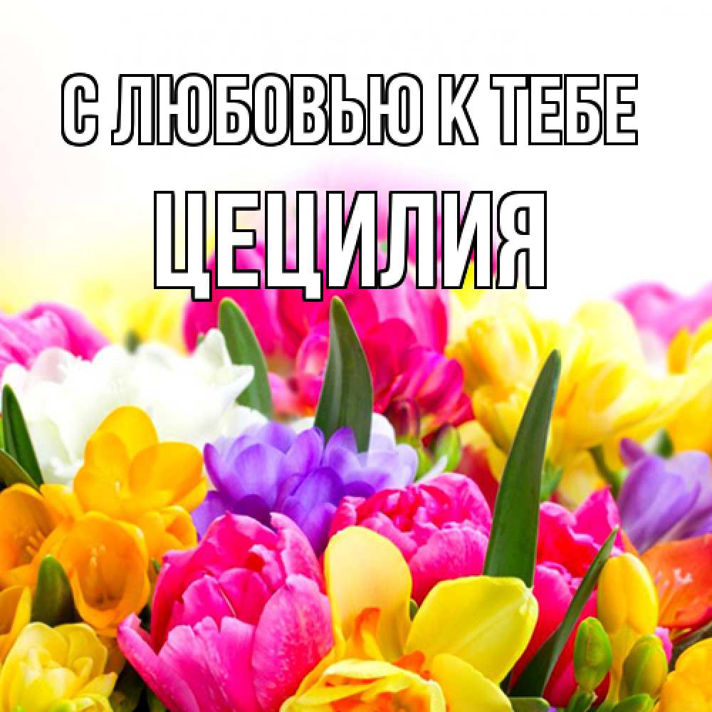 Открытка  с именем. Цецилия, С любовью к тебе  