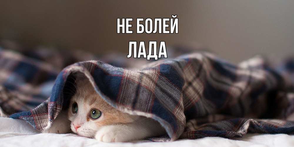 Открытка  с именем. Лада, Не болей  